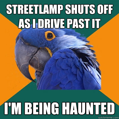 Streetlamp shuts off as I drive past it I'm being haunted  Paranoid Parrot