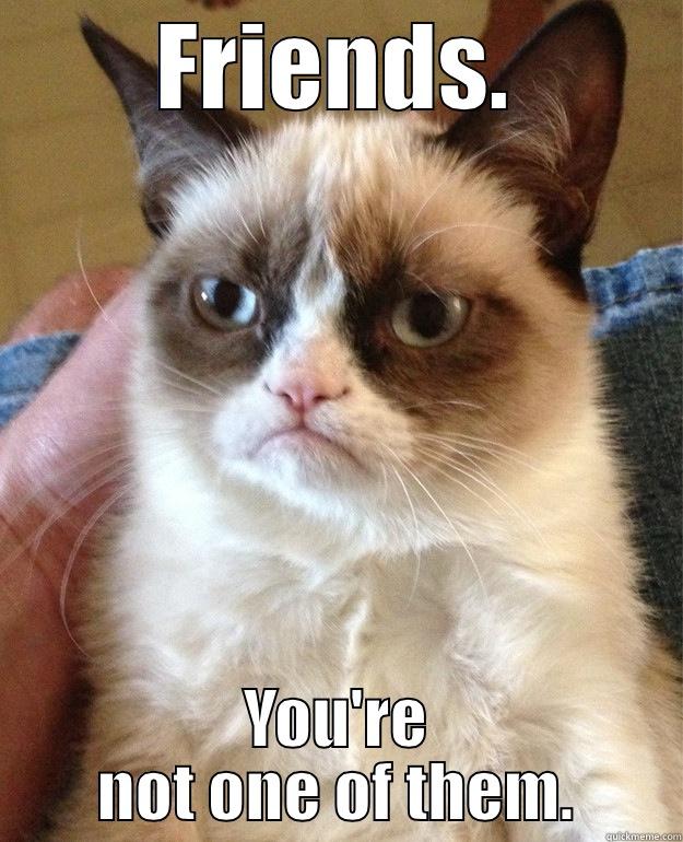 FRIENDS. YOU'RE NOT ONE OF THEM. Misc