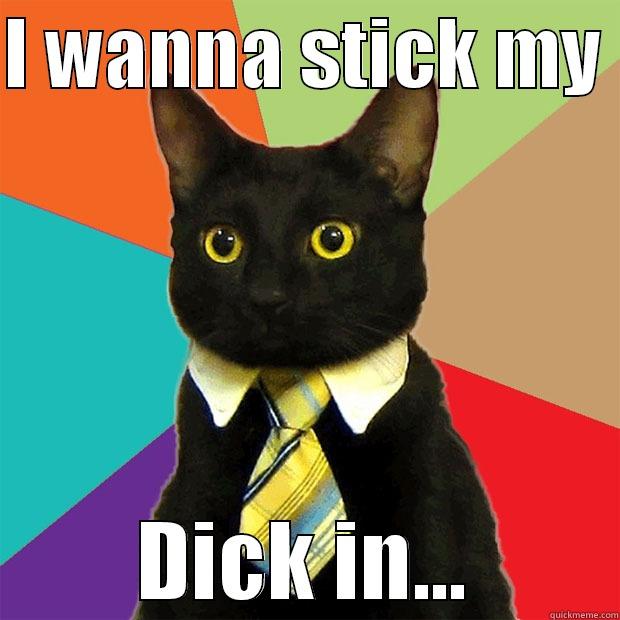 I WANNA STICK MY  DICK IN... Business Cat