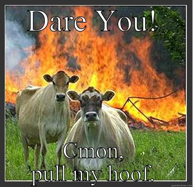 DARE YOU! CMON, PULL MY HOOF. Evil cows