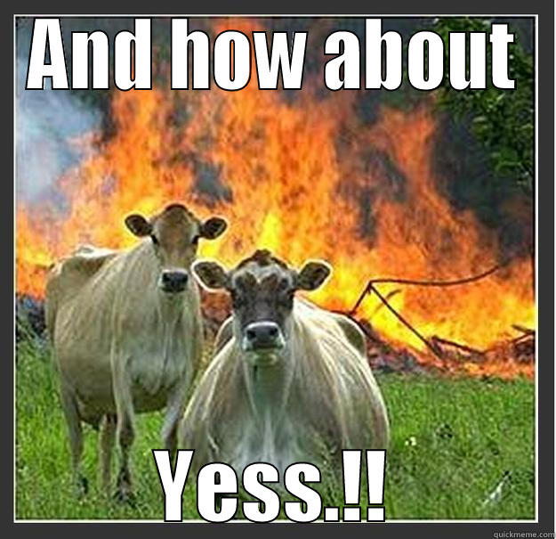 AND HOW ABOUT YESS.!! Evil cows