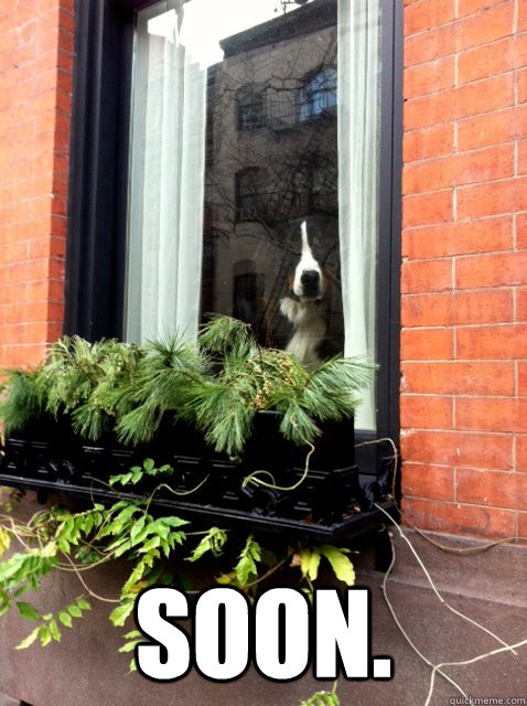  SOON. -  SOON.  Soon