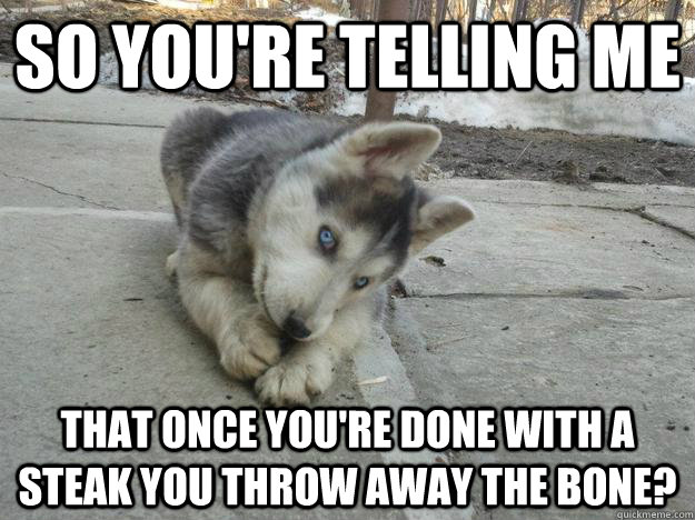 So you're telling me That once you're done with a steak you throw away the bone? - So you're telling me That once you're done with a steak you throw away the bone?  Skeptical Husky