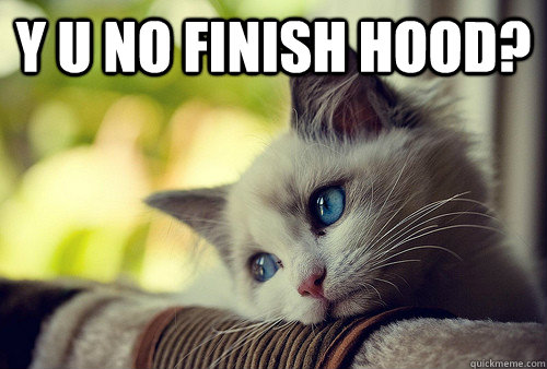 Y U no finish hood? - Y U no finish hood?  First World Cat Problems
