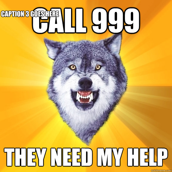 call 999 They need my help Caption 3 goes here  Courage Wolf