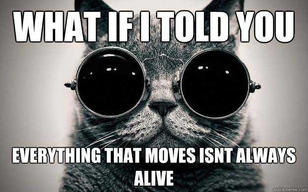 what if I told you everything that moves isnt always alive  Morpheus Cat Facts