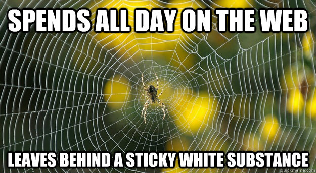 spends all day on the web leaves behind a sticky white substance - spends all day on the web leaves behind a sticky white substance  Internet Spider