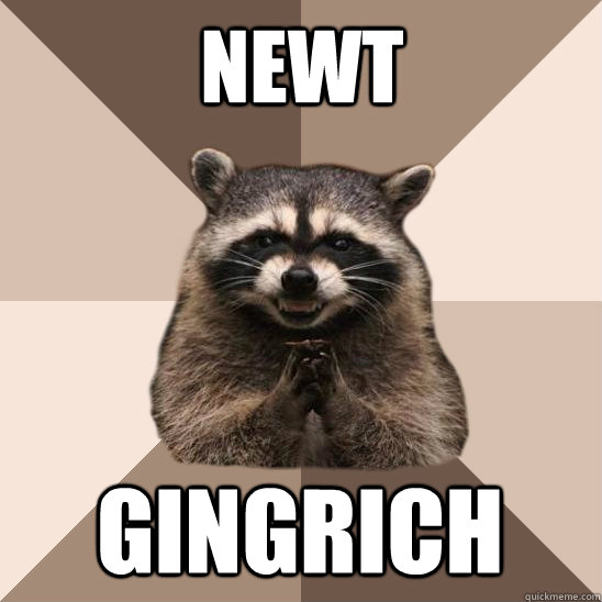 newt gingrich - newt gingrich  Evil Plotting Raccoon