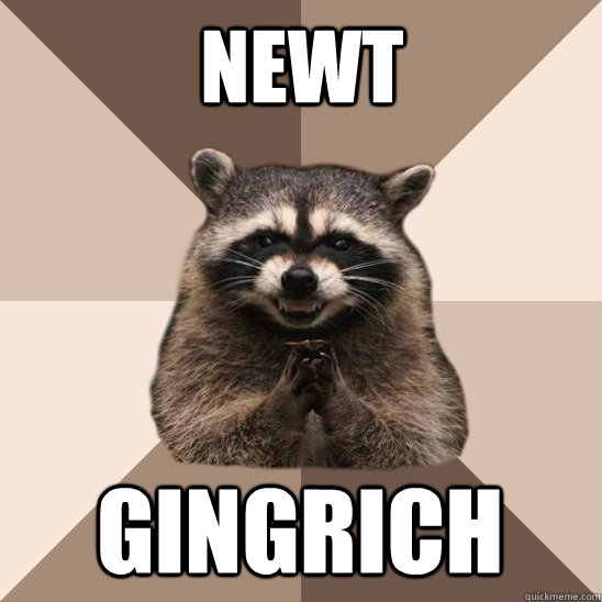 newt gingrich  Evil Plotting Raccoon