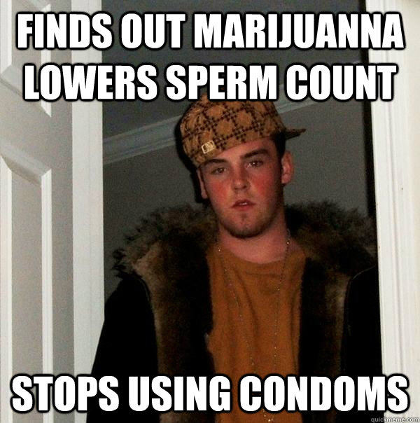 finds out marijuanna lowers sperm count stops using condoms  Scumbag Steve