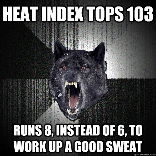 heat index tops 103 runs 8, instead of 6, to work up a good sweat  Insanity Wolf