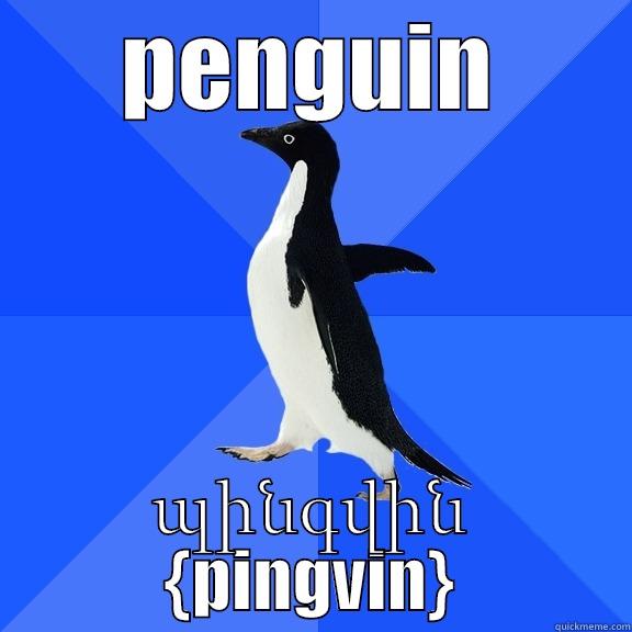 PENGUIN ՊԻՆԳՎԻՆ {PINGVIN} Socially Awkward Penguin