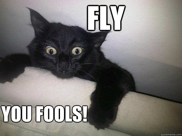 FLy You Fools! - FLy You Fools!  Misc