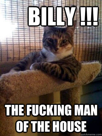       BILLY !!! the fucking man of the house   The Most Interesting Cat in the World