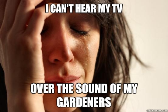 I can't hear my TV  over the sound of my gardeners  First World Problems