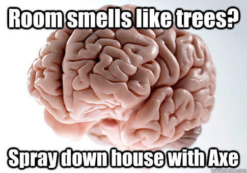 Room smells like trees? Spray down house with Axe   Scumbag Brain
