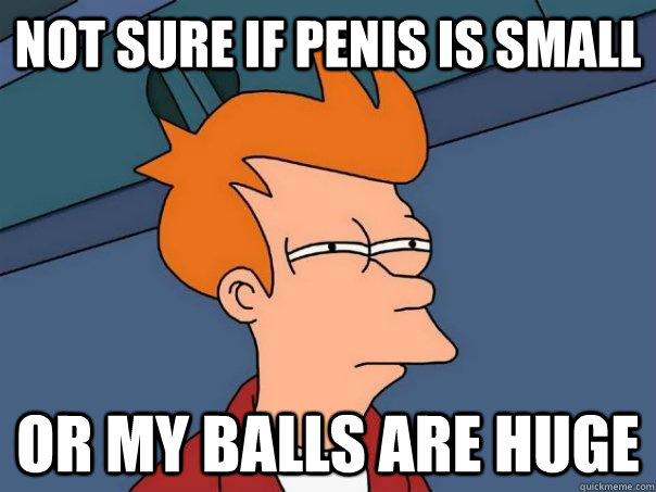 Not sure if penis is small Or my balls are huge  Futurama Fry