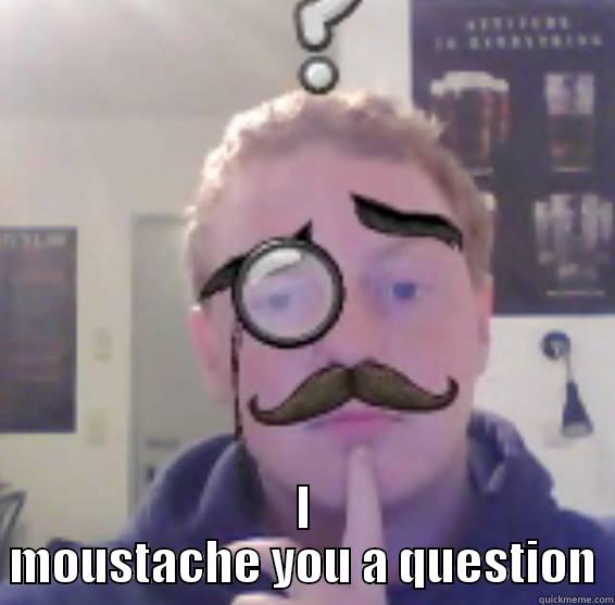  I MOUSTACHE YOU A QUESTION Misc