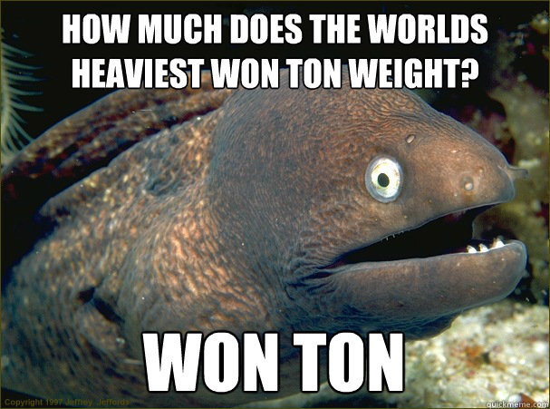 How much does the worlds heaviest Won Ton Weight? Won Ton - How much does the worlds heaviest Won Ton Weight? Won Ton  Bad Joke Eel