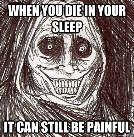 when you die in your sleep it can still be painful   Horrifying Houseguest