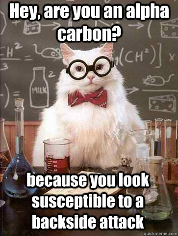 Hey, are you an alpha carbon? because you look susceptible to a backside attack  Chemistry Cat
