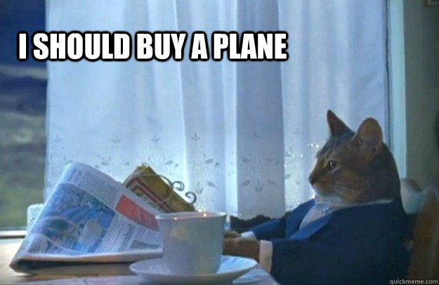 I SHOULD buy a plane  Sophisticated Cat