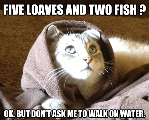 five loaves and two fish ? OK. but don't ask me to walk on water.  Kitty Jesus