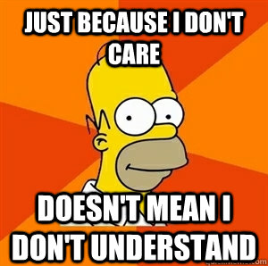 Just because I don't care doesn't mean I don't understand  Advice Homer