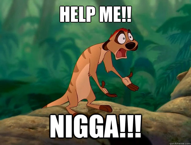 HELP ME!! NIGGA!!! - HELP ME!! NIGGA!!!  WTF TIMON