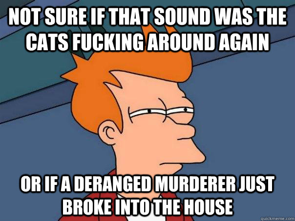 Not sure if that sound was the cats fucking around again or if a deranged murderer just broke into the house  Futurama Fry