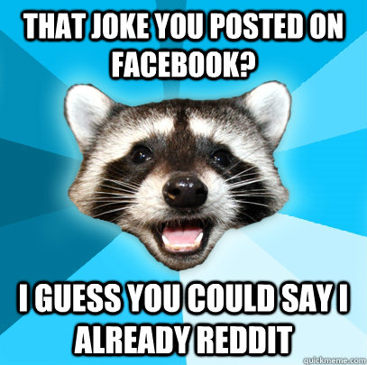 THAT JOKE YOU POSTED ON FACEBOOK? I GUESS YOU COULD SAY I ALREADY REDDIT  Lame Pun Coon