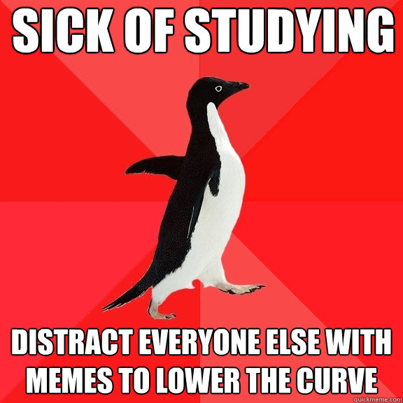 sick of studying distract everyone else with memes to lower the curve - sick of studying distract everyone else with memes to lower the curve  Socially Awesome Penguin