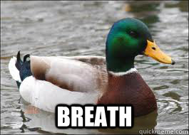  BREATH  Good Advice Duck