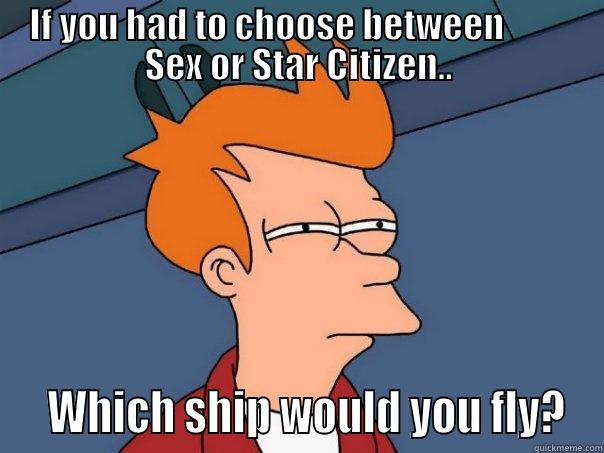 IF YOU HAD TO CHOOSE BETWEEN          SEX OR STAR CITIZEN..   WHICH SHIP WOULD YOU FLY? Futurama Fry
