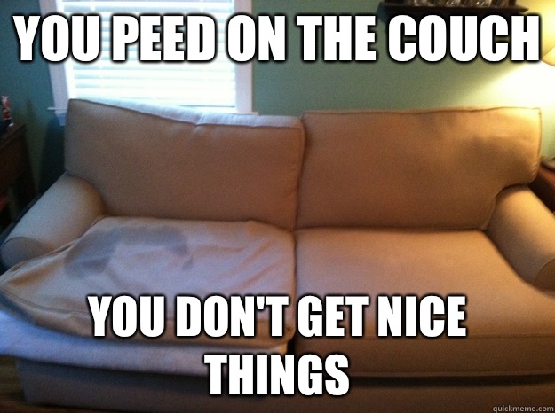 You peed on the couch You don't get nice things  