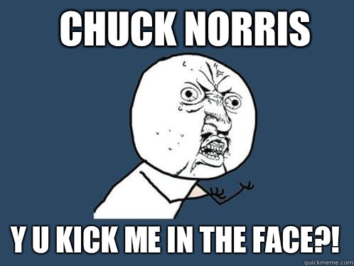 Chuck norris Y u kick me in the face?!  Y U No