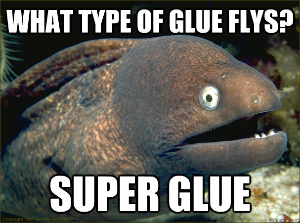 What type of glue flys? Super Glue  Bad Joke Eel