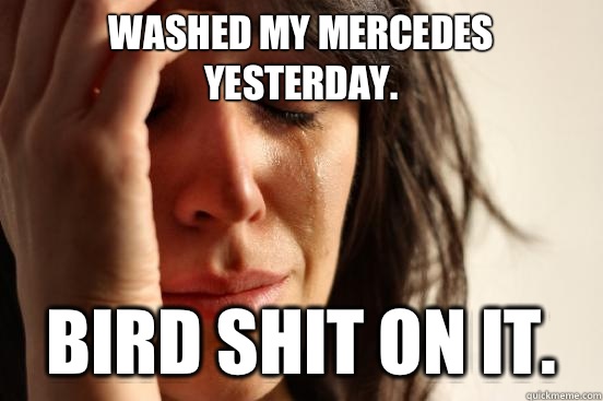 Washed my Mercedes yesterday.  Bird shit on it.   First World Problems