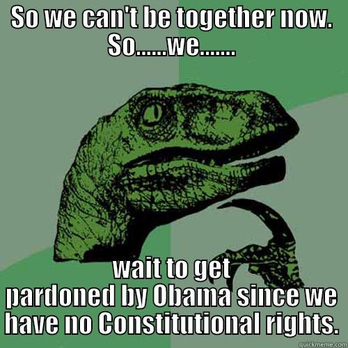SO WE CAN'T BE TOGETHER NOW. SO......WE....... WAIT TO GET PARDONED BY OBAMA SINCE WE HAVE NO CONSTITUTIONAL RIGHTS. Philosoraptor