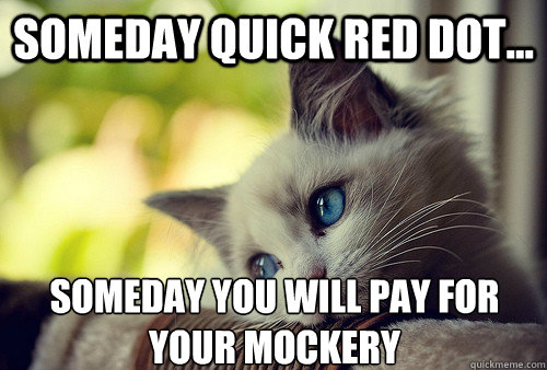 Someday quick red dot... Someday you will pay for your mockery   First World Cat Problems