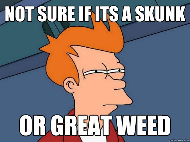 not sure if its a skunk or great weed  Futurama Fry