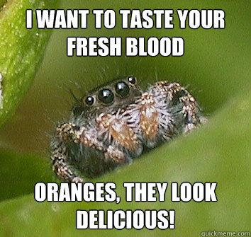 I want to taste your fresh blood oranges, they look delicious!  Misunderstood Spider