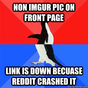 Non imgur pic on front page link is down becuase reddit crashed it  Socialy Awesomeawkward penguin