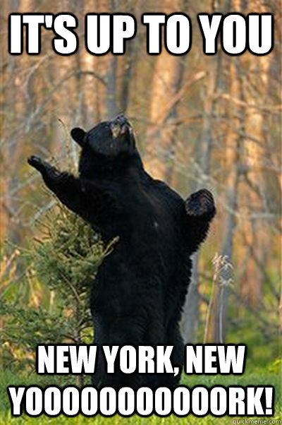 It's up to you New York, NEw Yooooooooooork!  Fabulous Bear