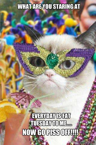 what are you staring at everyday is fat tuesday to me..... now go piss off!!!!  grumpy cat tuesday