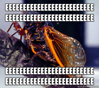 EEEEEEEEEEEEEEEEEEEEEEEEEEEEEEEEEEEEEEEEEEEEEEEEEE EEEEEEEEEEEEEEEEEEEEEEEEEEEEEEEEEEEEEEEEEEEEEEEEEE - EEEEEEEEEEEEEEEEEEEEEEEEEEEEEEEEEEEEEEEEEEEEEEEEEE EEEEEEEEEEEEEEEEEEEEEEEEEEEEEEEEEEEEEEEEEEEEEEEEEE  Advice Cicada