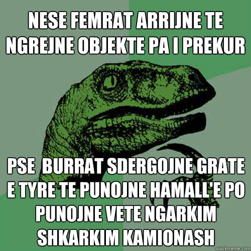 nese femrat arrijne te ngrejne objekte pa i prekur pse  burrat sdergojne grate e tyre te punojne hamall'e po punojne vete ngarkim shkarkim kamionash  Philosoraptor