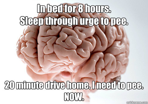 In bed for 8 hours. 
Sleep through urge to pee. 20 minute drive home. I need to pee.
NOW.  Scumbag Brain