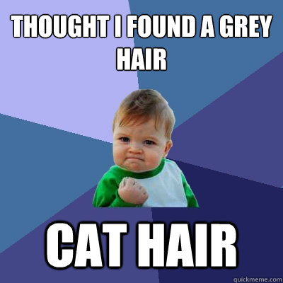 thought i found a grey hair cat hair  Success Kid