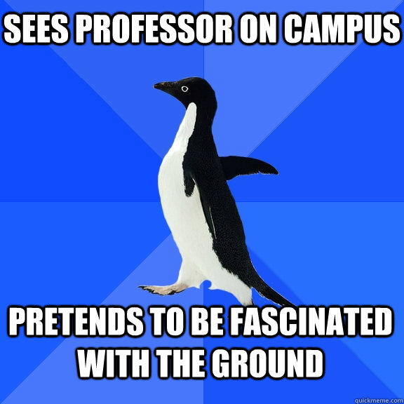 sees professor on campus pretends to be fascinated with the ground     Socially Awkward Penguin